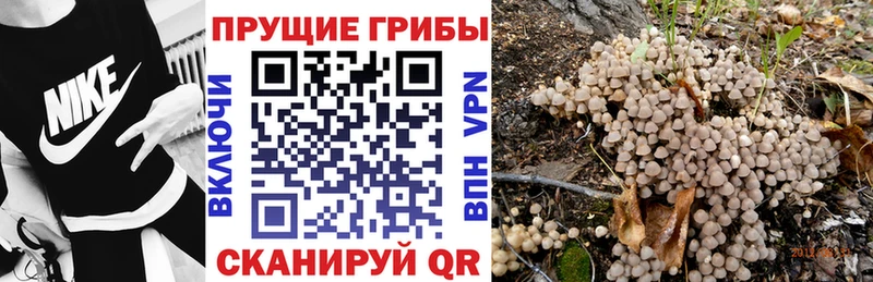 Галлюциногенные грибы Cubensis  что такое наркотик  Пыть-Ях 